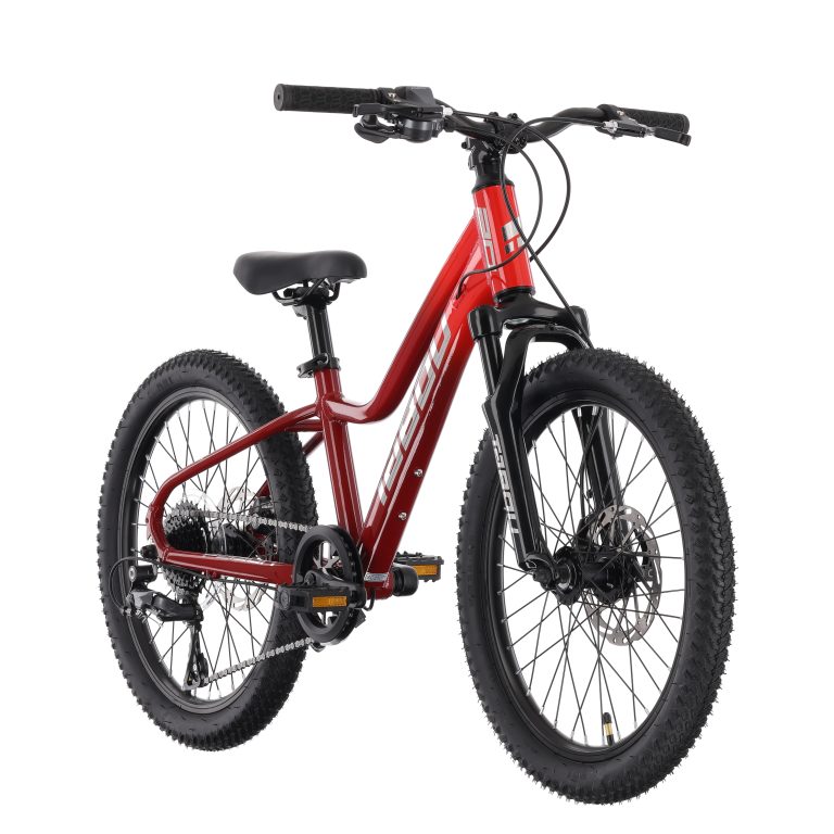 MY26 TABOU POISON 20 PRO – burgundy red_2