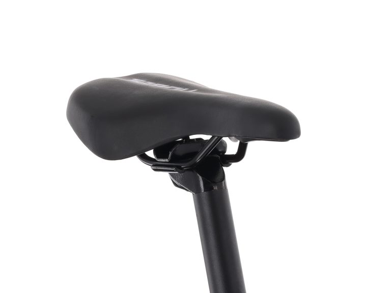 MY26 TABOU POISON 24 PRO – burgundy red_4