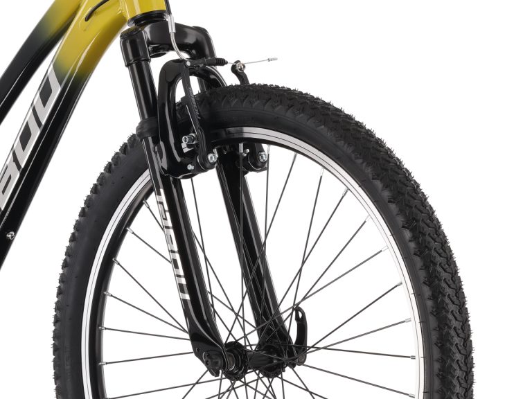 MY26 TABOU POISON 24 – black gold_2