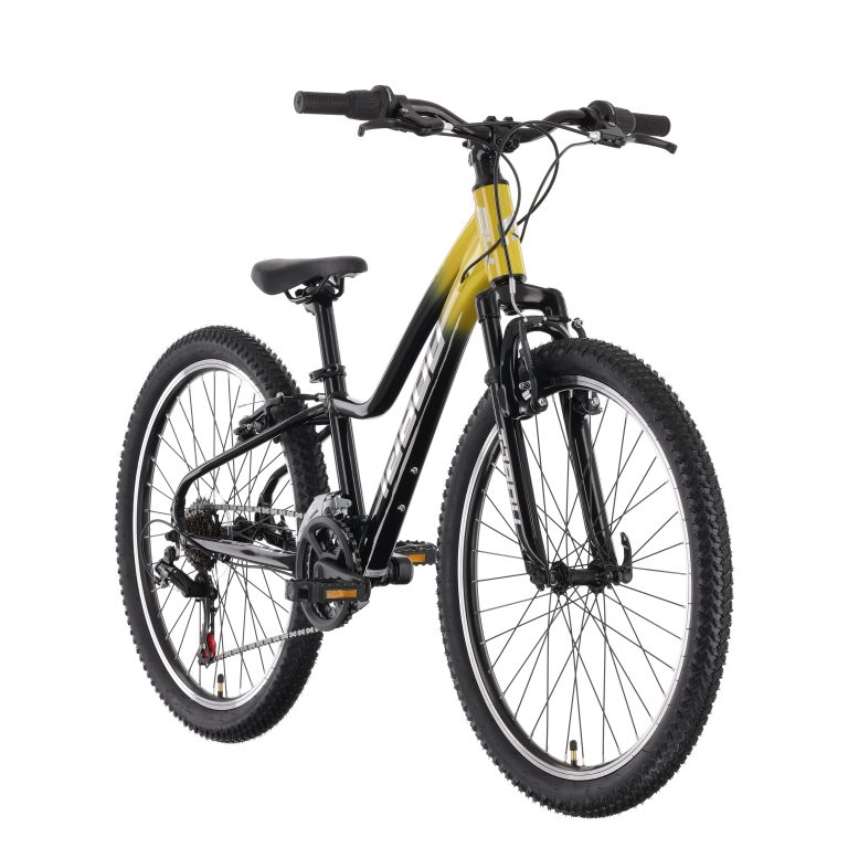 MY26 TABOU POISON 24 – black gold_2