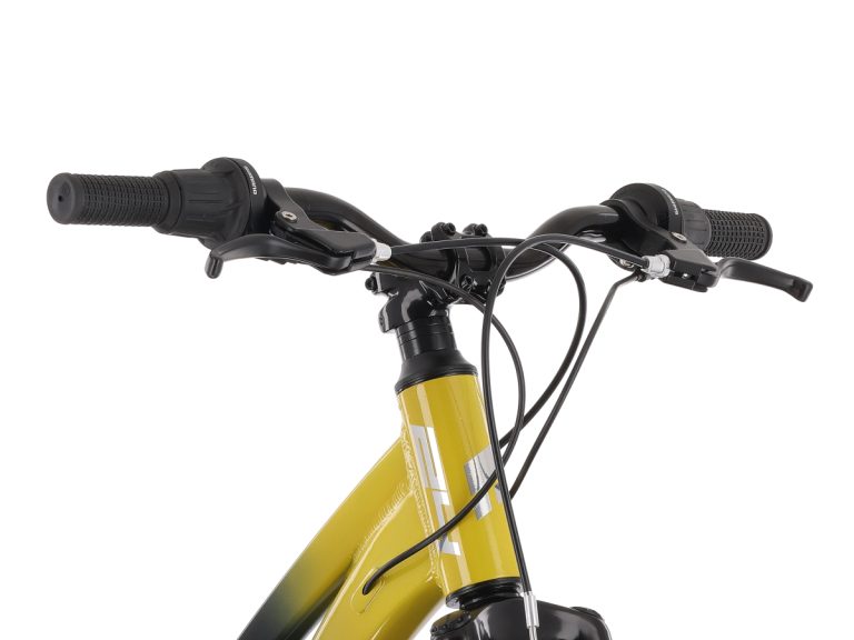 MY26 TABOU POISON 24 – black gold_3