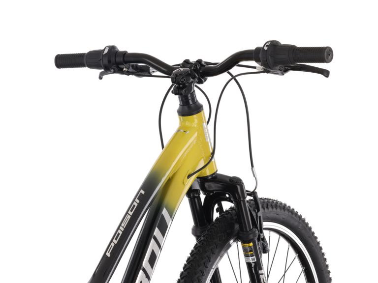 MY26 TABOU POISON 24 – black gold_5