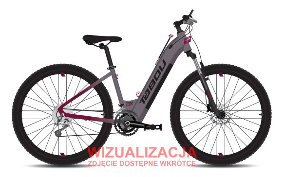 Rower elektryczny TABOU WIZZ UP ECO
