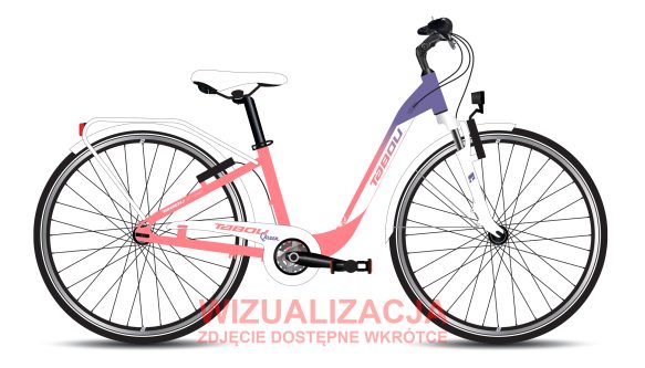 Rower młodzieżowy TABOU QUEEN 26