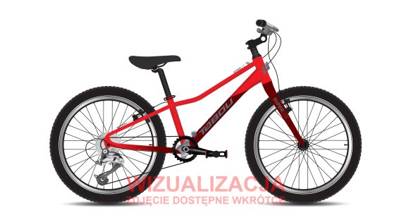 Rower młodzieżowy TABOU SUPERLITE 20
