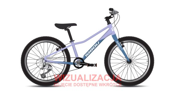 Rower młodzieżowy TABOU SUPERLITE 20 W