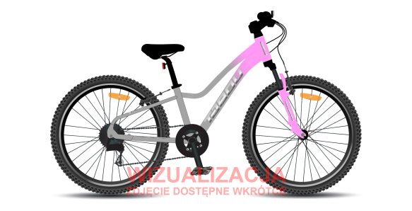 Rower młodzieżowy TABOU TOPSHE 20