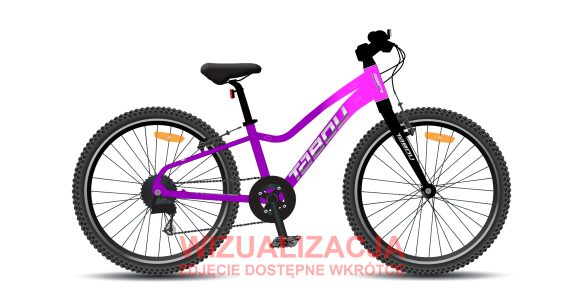 Rower młodzieżowy TABOU TOPSHE 20 LITE