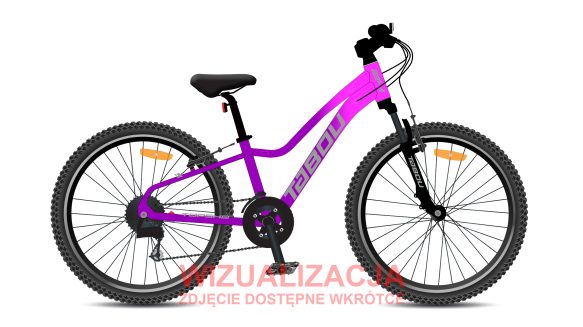 Rower młodzieżowy TABOU TOPSHE 24