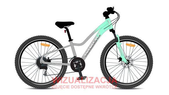 Rower młodzieżowy TABOU TOPSHE 24 PRO