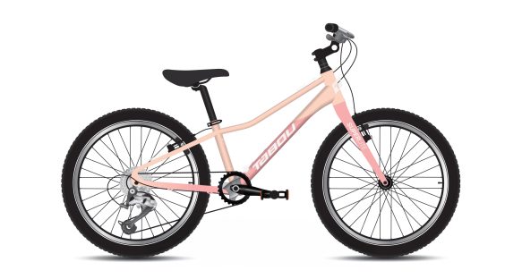 Rower młodzieżowy TABOU SUPERLITE 20 W