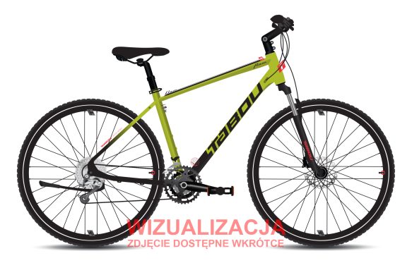 Rower crossowy TABOU FLOW 4